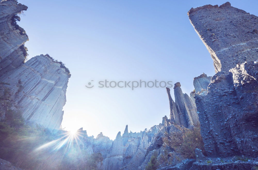 Similar – Image, Stock Photo Enjoy the golden Sun