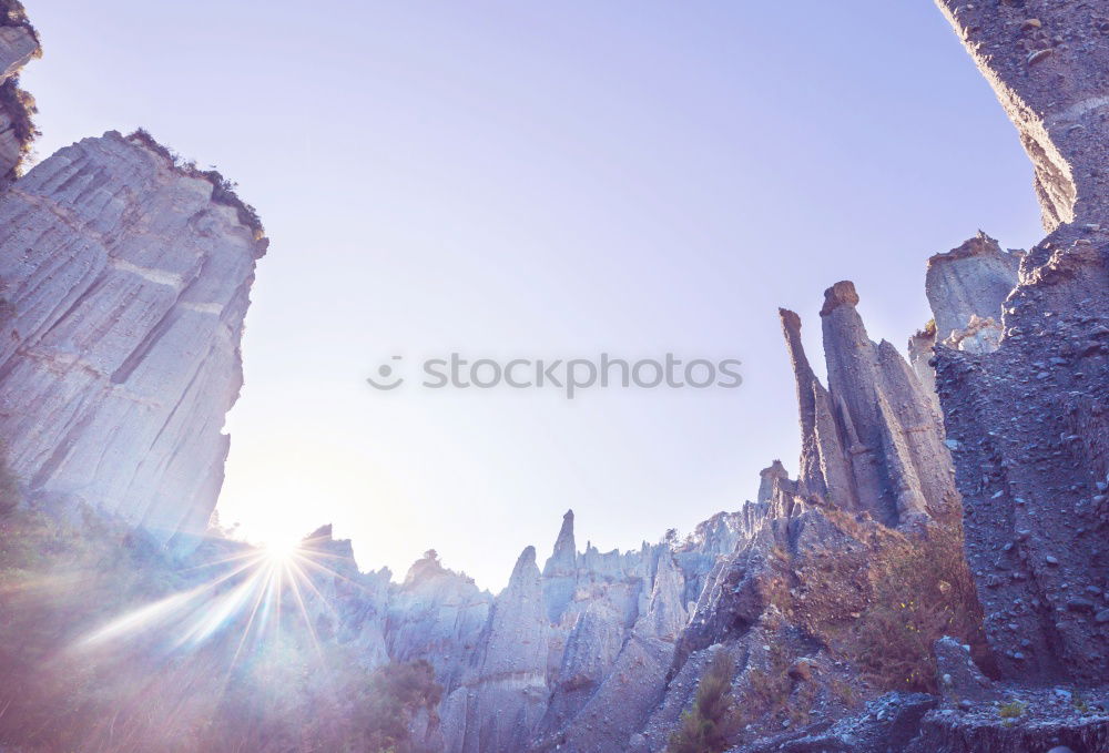 Similar – Image, Stock Photo Enjoy the golden Sun