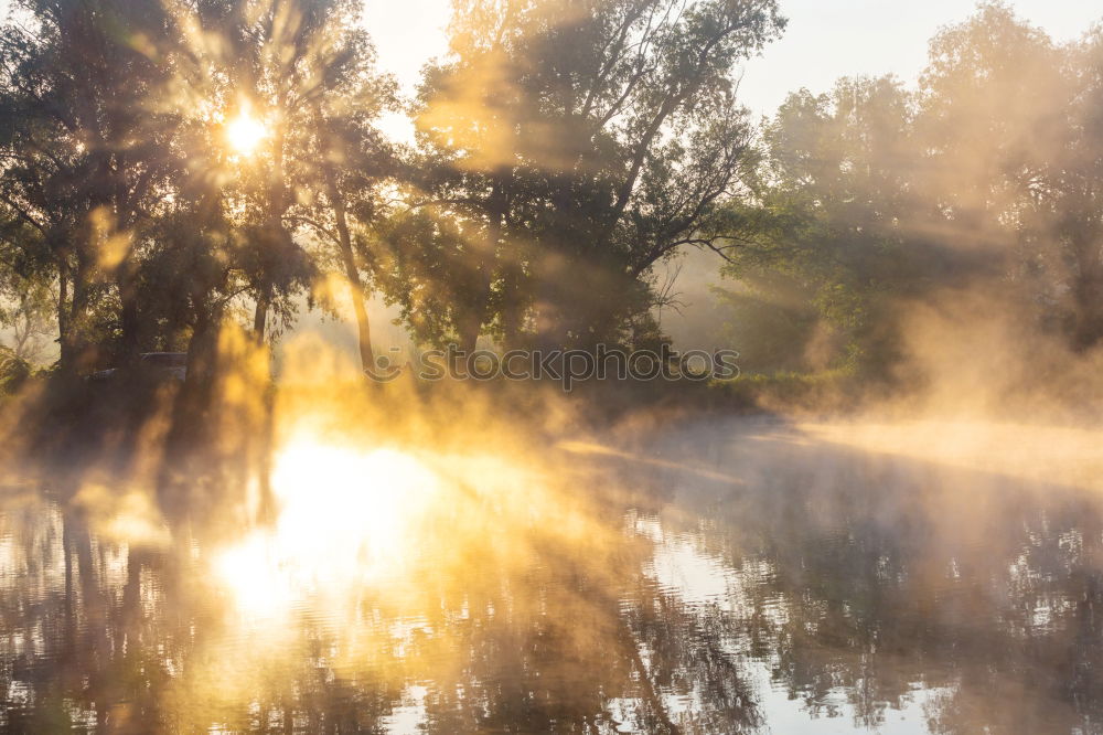 Similar – Misty morning on the lake