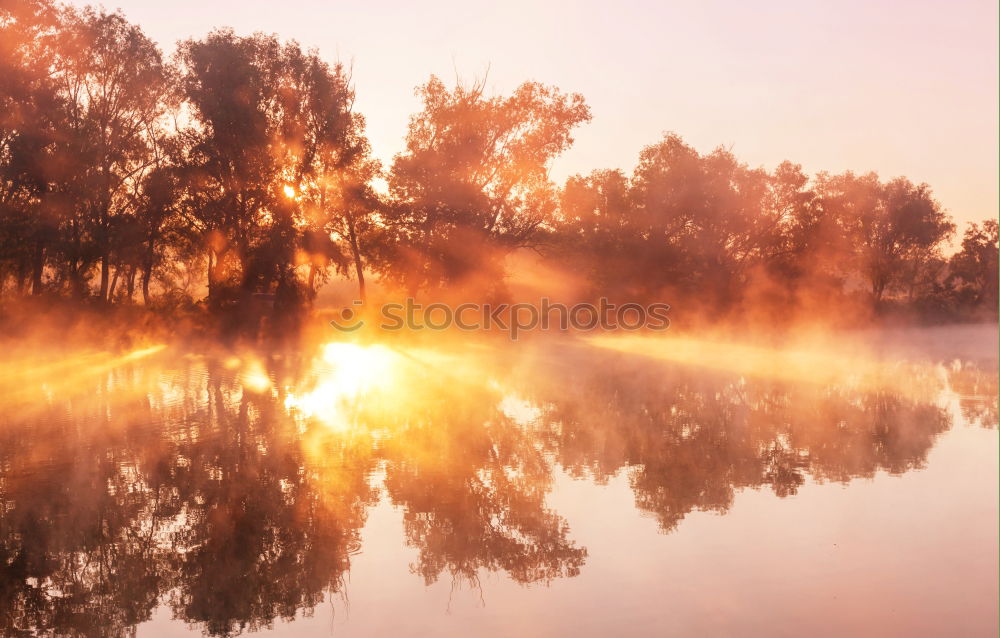 Similar – Summer evening at the Bodden