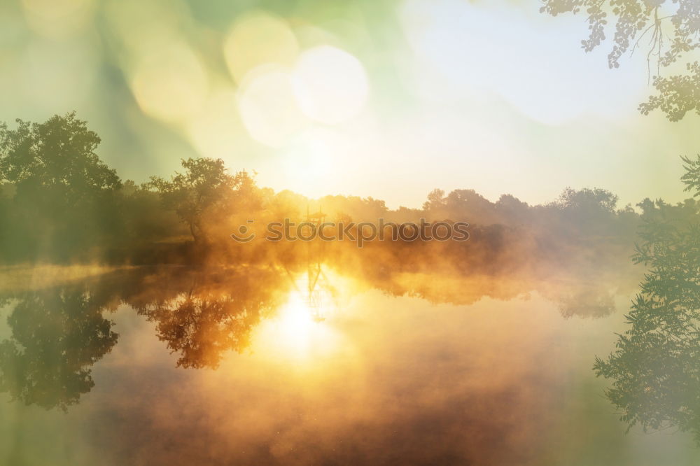 Similar – Summer evening at the Bodden