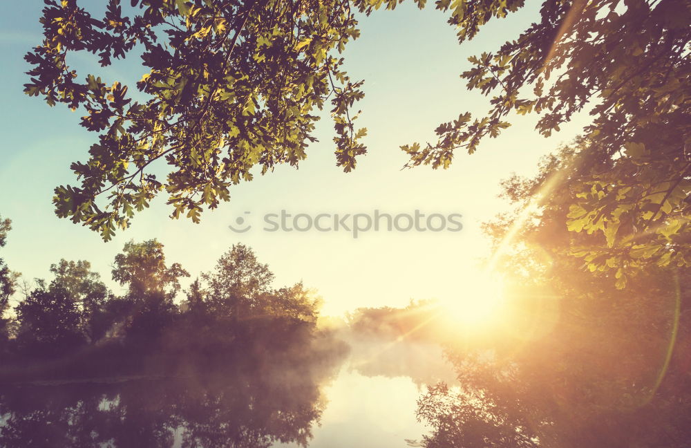 Similar – vondelpark Lake Park Green