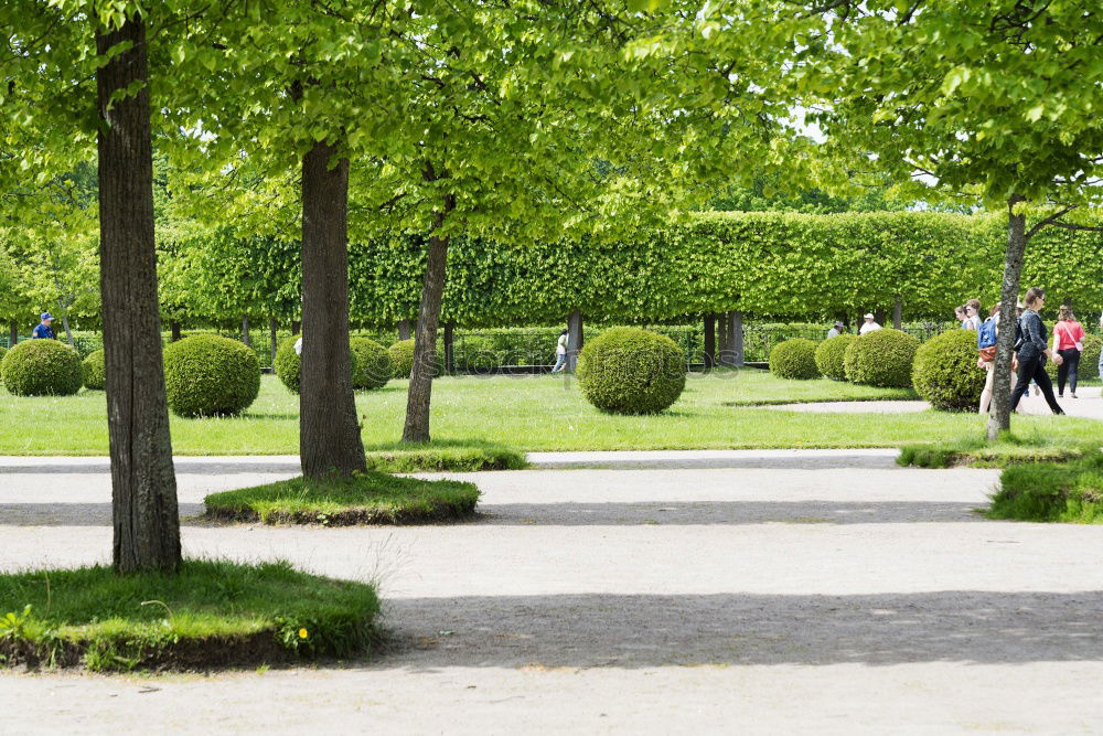 Similar – Image, Stock Photo shaving seat Spa gardens