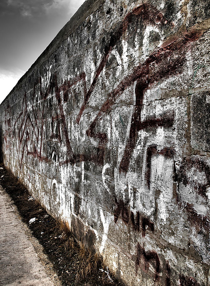 Similar – Image, Stock Photo flutter man Spray Tagger