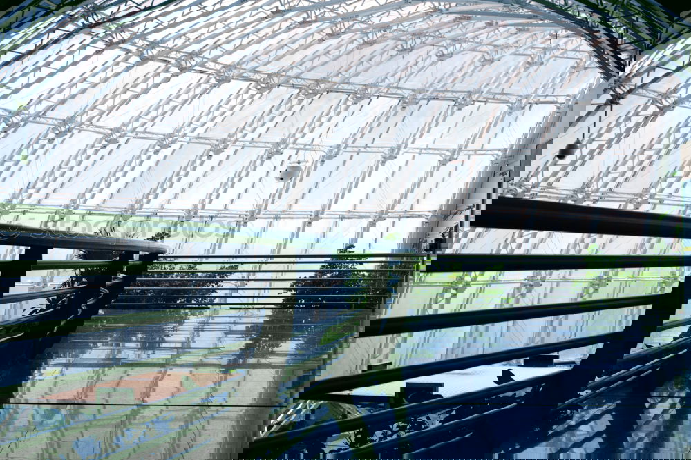Similar – Foto Bild Kuppeldach Dach