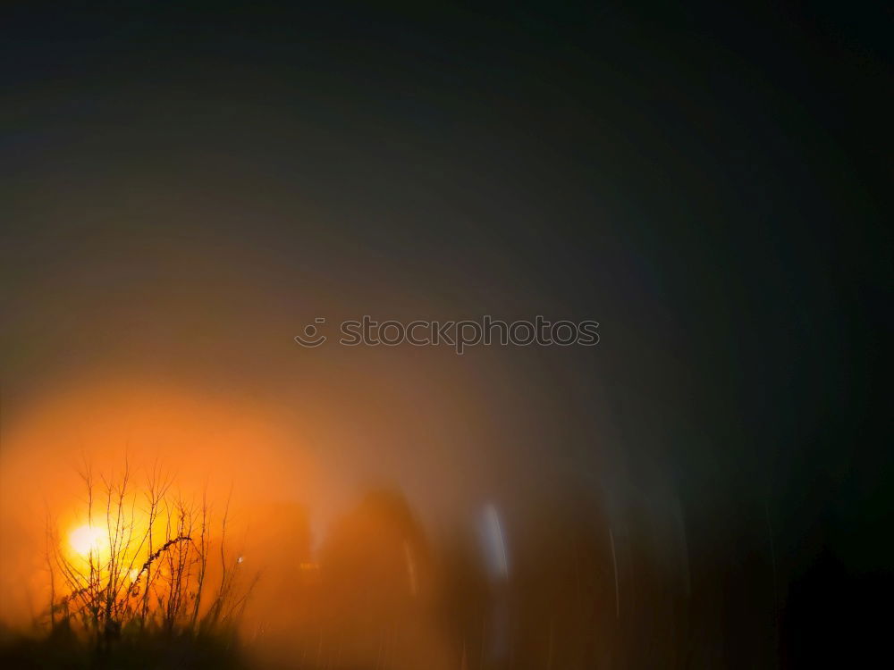 Image, Stock Photo cross Tree Night Dark