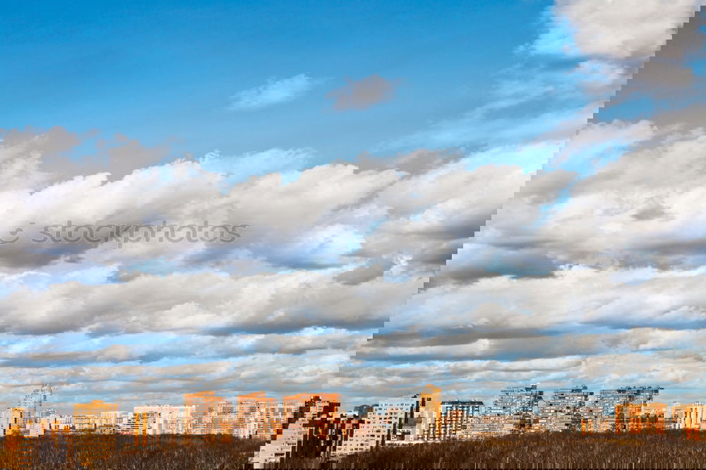 Similar – Image, Stock Photo NYC20 New York City