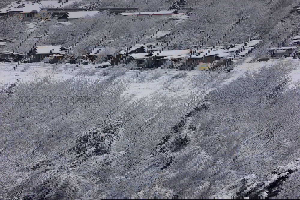 Similar – Image, Stock Photo Climate change I Winter