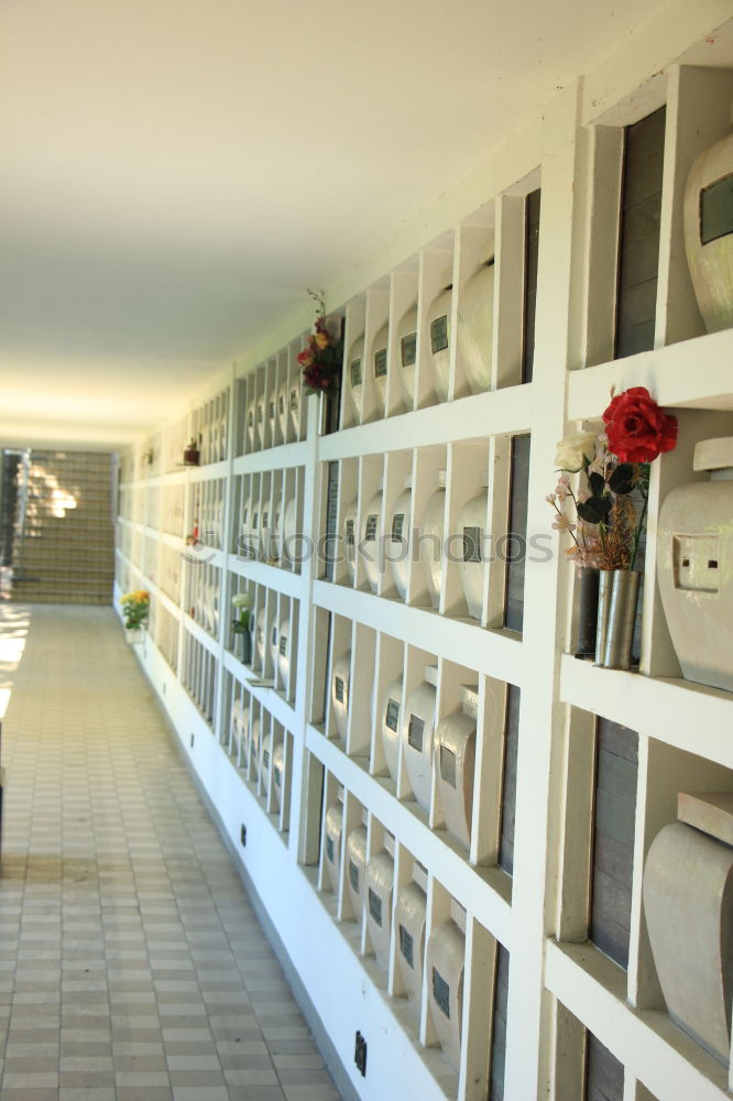 Similar – Image, Stock Photo Laundromat_1 Laundry