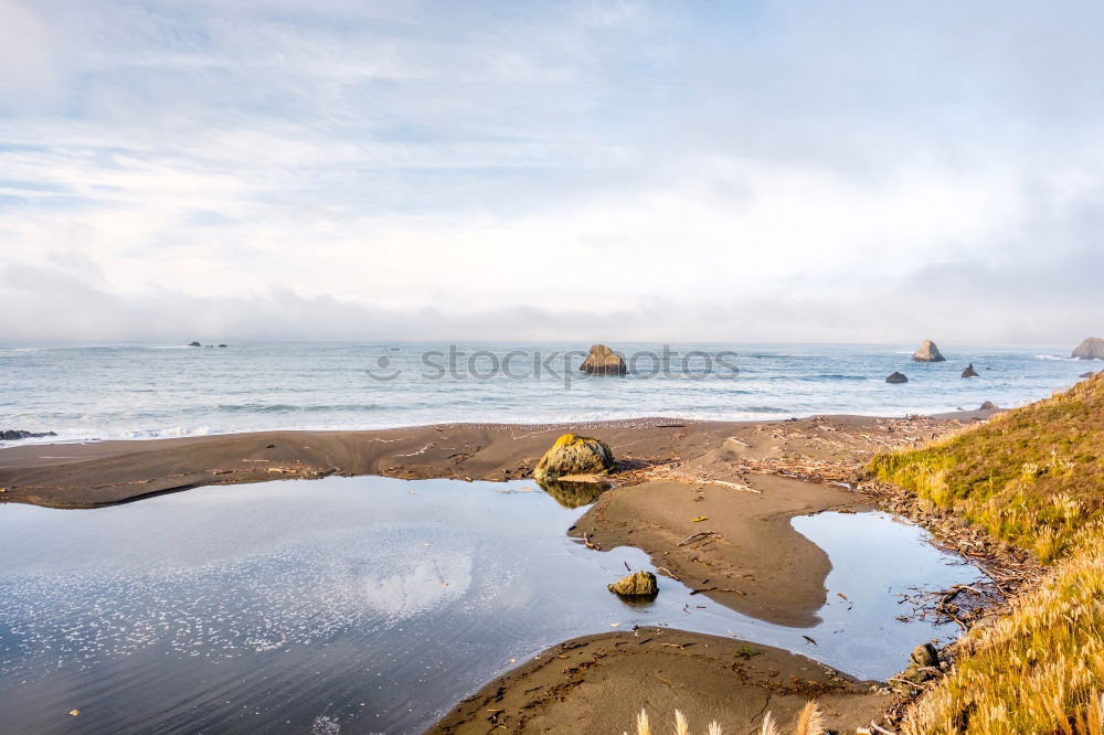 Similar – Image, Stock Photo Roadtrip West Coast USA (194)