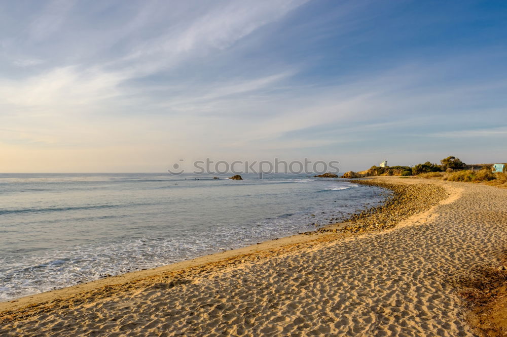 Similar – Image, Stock Photo Coastal forest at the Baltic Sea near Nienhagen