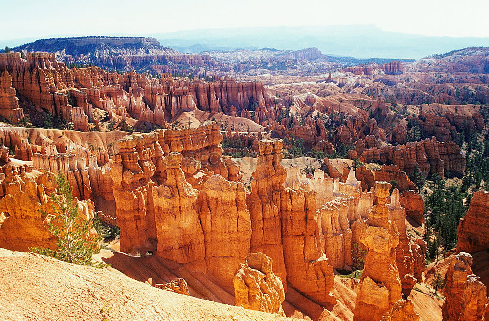 Similar – Bryce Canyon View