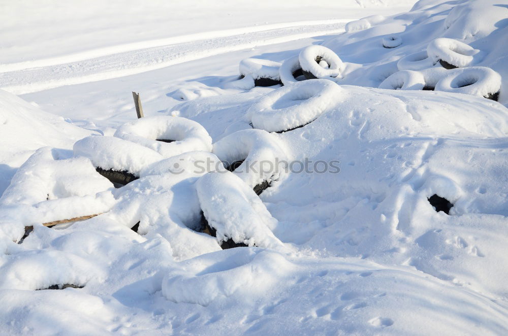 Similar – Image, Stock Photo EVERY DAMN MORNING Winter