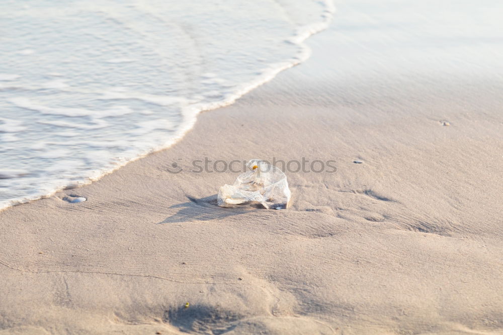 Similar – Seagulls on the beach of Binz, Island of Rügen