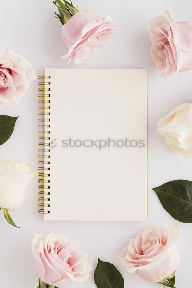 Similar – Image, Stock Photo Pink tulips, notebook or sketchbook and coloured markers