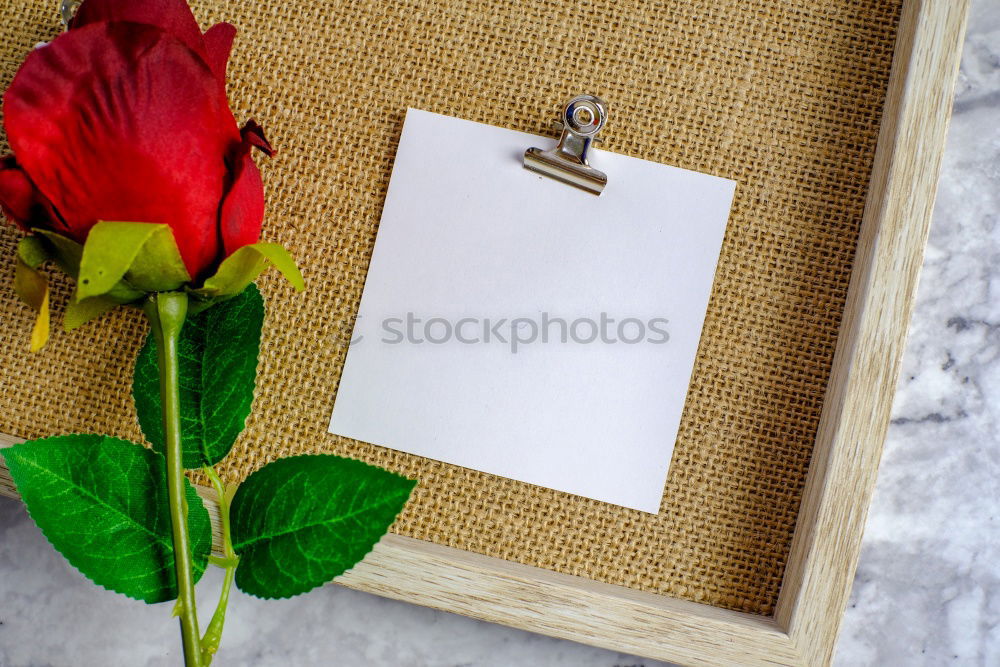 Image, Stock Photo Welcome to our happy home