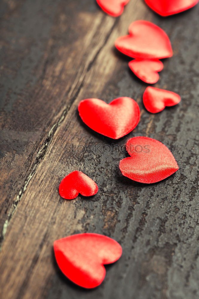 Similar – Background with red roses petals and hearts