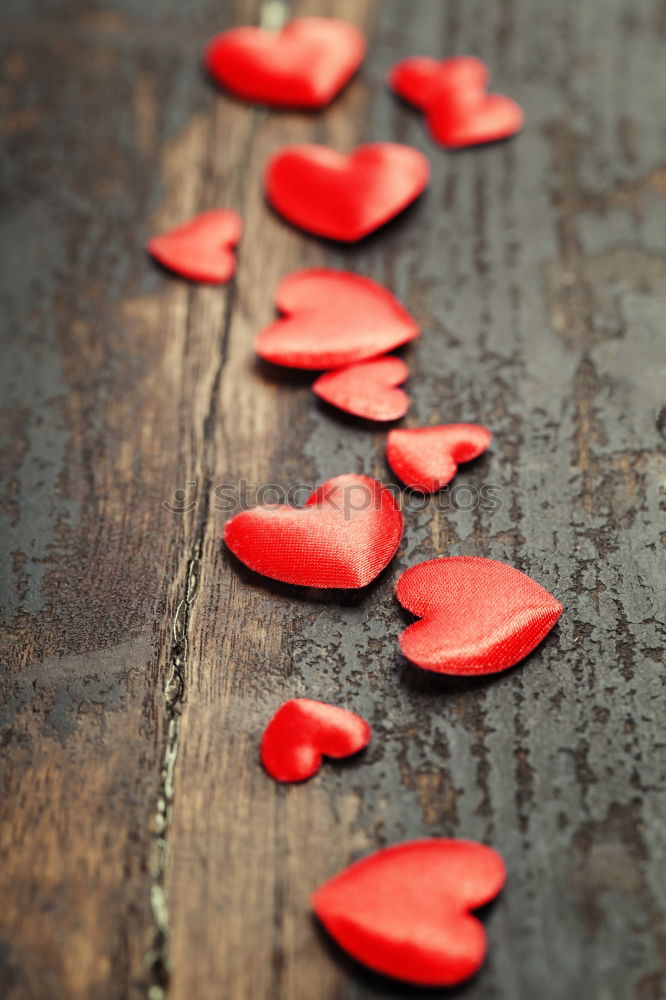 Similar – Background with red roses petals and hearts