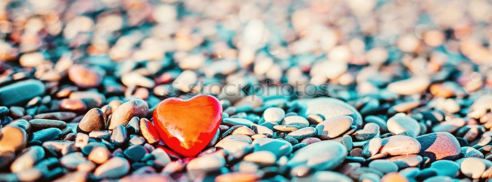 Similar – Image, Stock Photo Heart