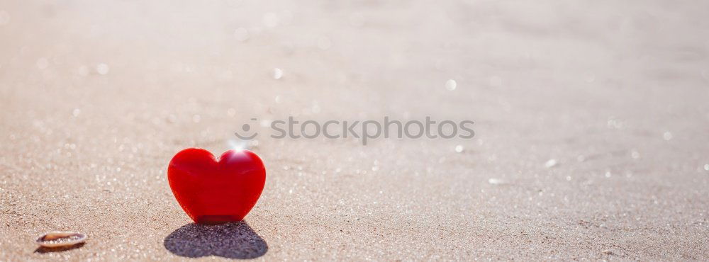 Similar – Image, Stock Photo easter red/purple (calf length)