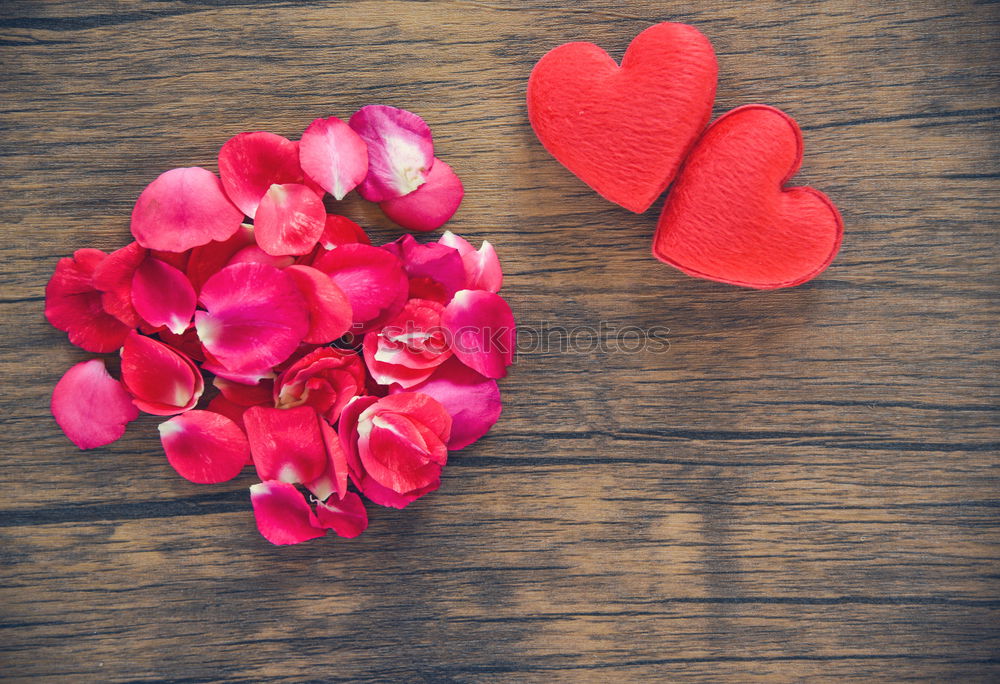 Similar – Image, Stock Photo Heart of pink rose petals on turquoise blue background