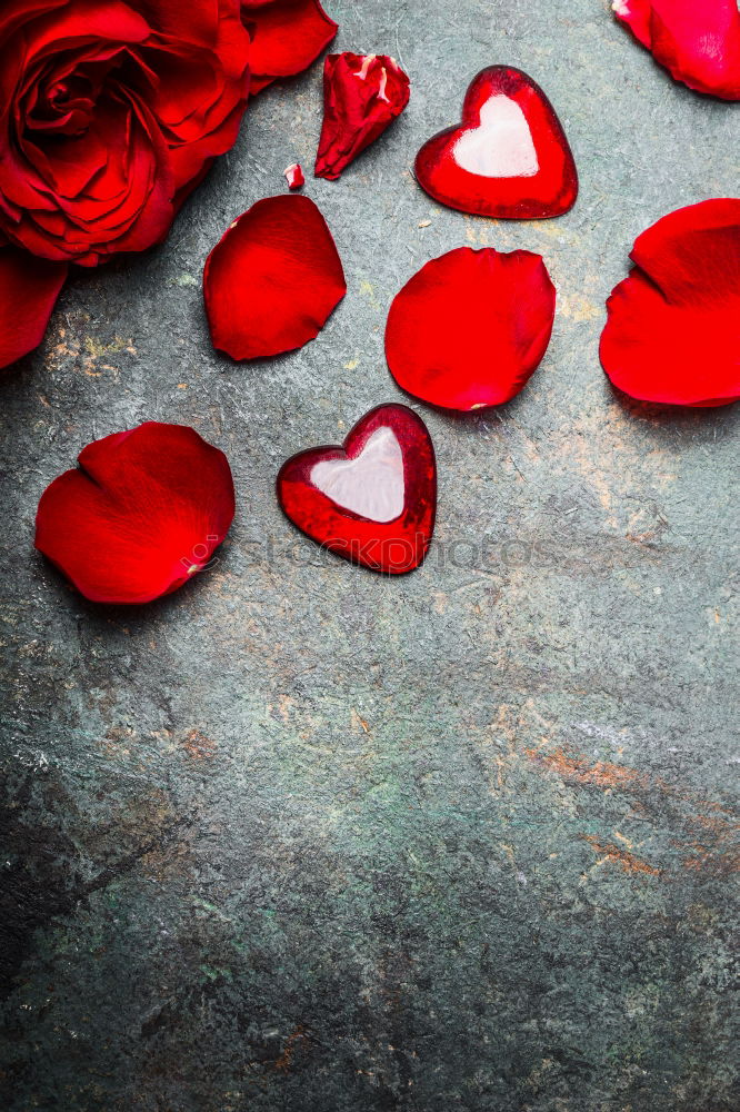 Similar – Background with red roses petals and hearts