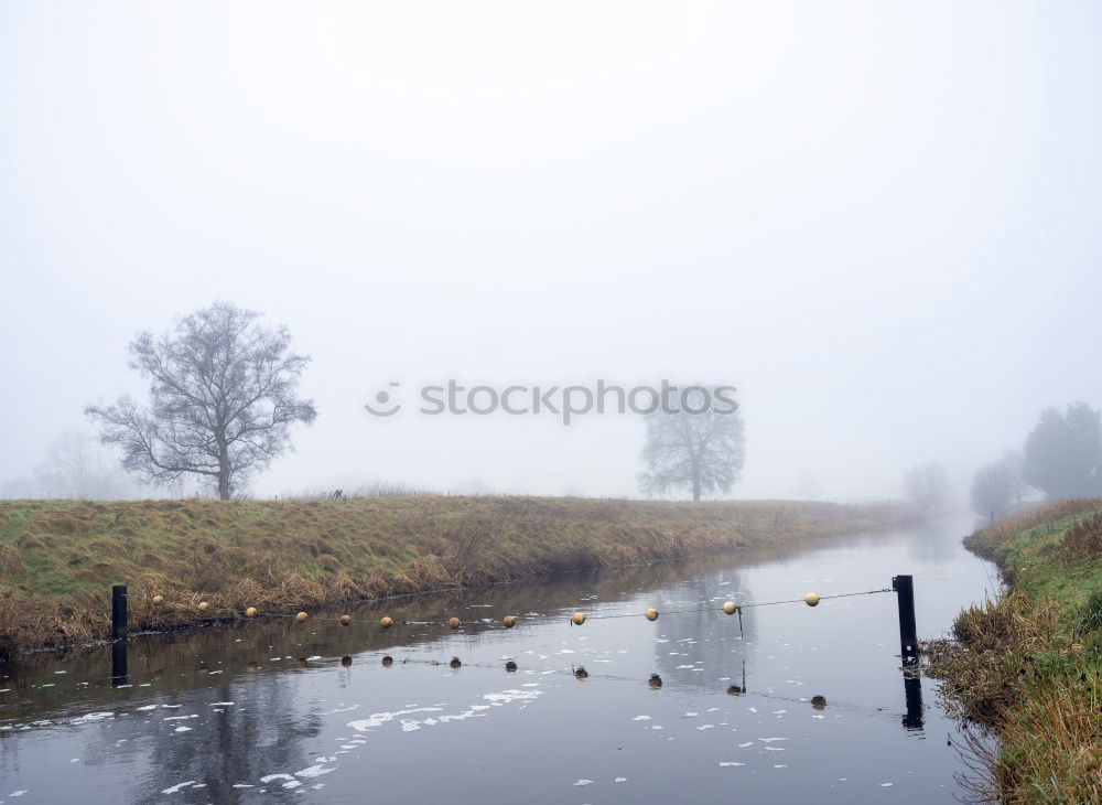 Similar – Foto Bild Solzow Umwelt Natur