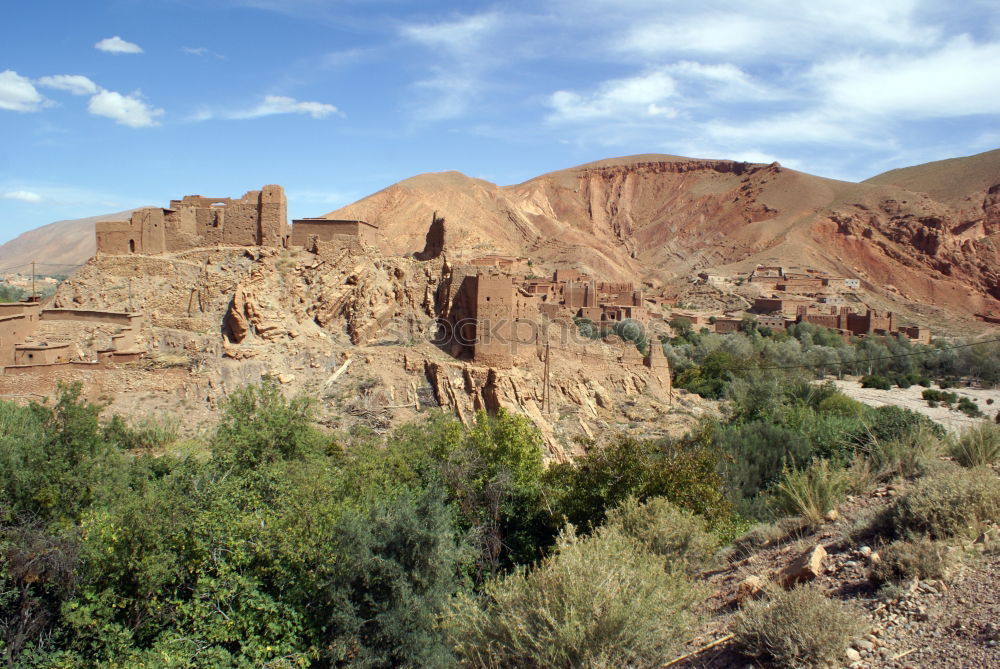 Similar – Image, Stock Photo Oasis Morocco II