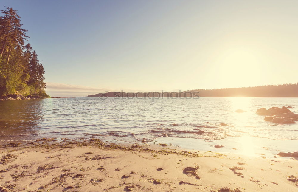 Similar – Image, Stock Photo English Bay Beach in Vancouver, BC, Canada