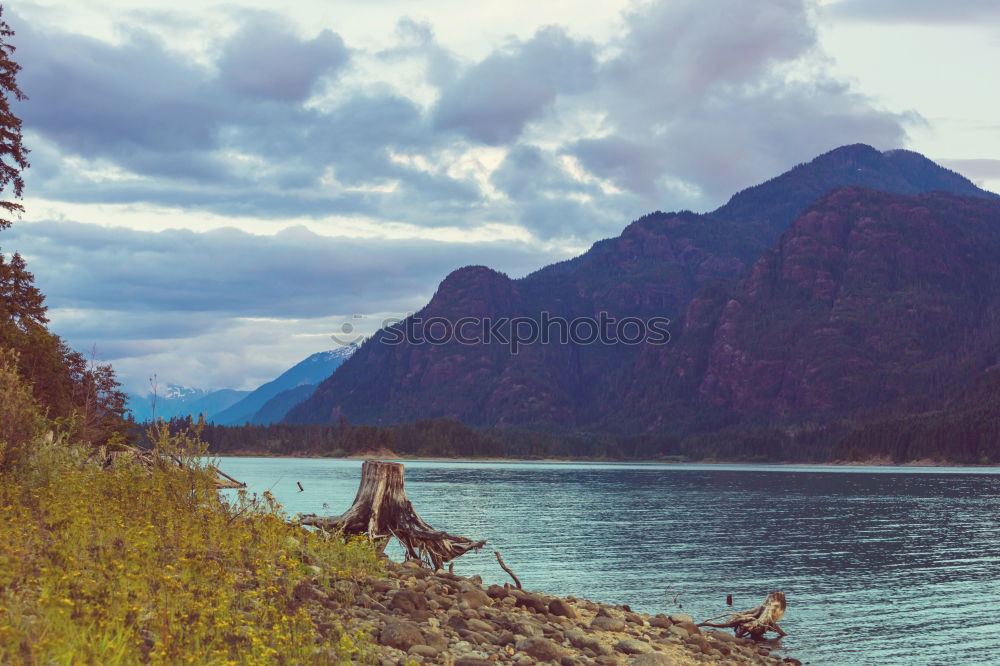 Similar – Women at lake in mountains