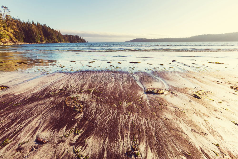 Similar – Image, Stock Photo English Bay Beach in Vancouver, BC, Canada