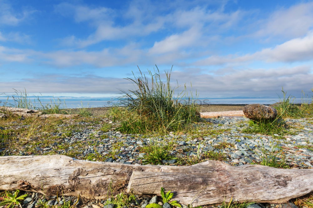 Similar – beach cafe Baltic Sea