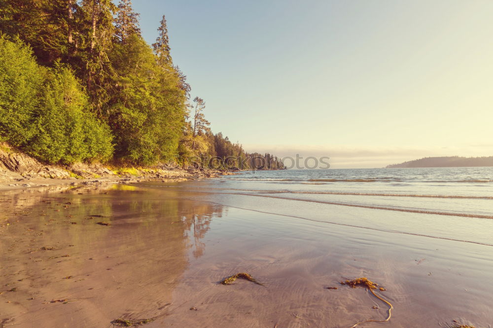 Similar – Image, Stock Photo English Bay Beach in Vancouver, BC, Canada