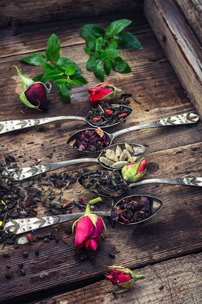 Similar – Image, Stock Photo bouquet of blossoming fruit trees