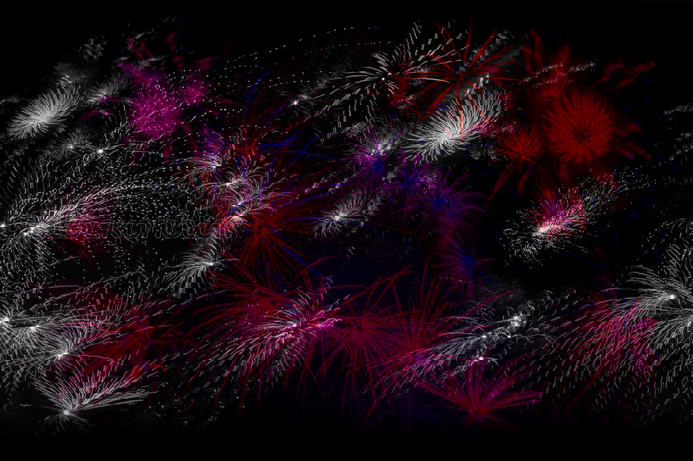 Similar – Image, Stock Photo Colorful fireworks on the black sky