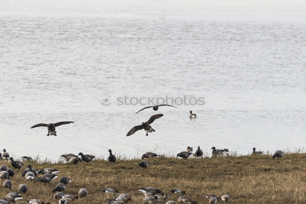 Similar – Image, Stock Photo meeting point