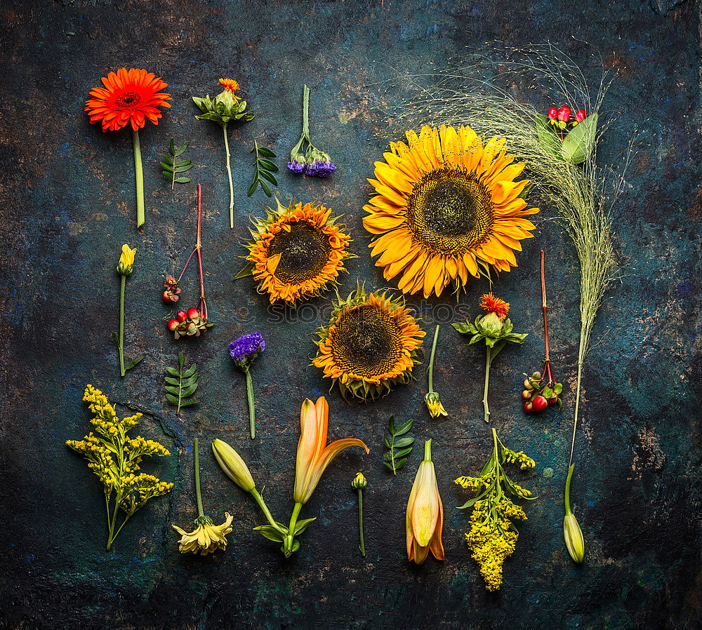 Autumn flower composing on dark background