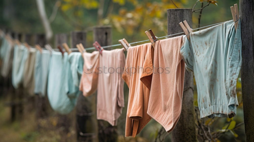 Similar – Image, Stock Photo Baby bibs on laundry