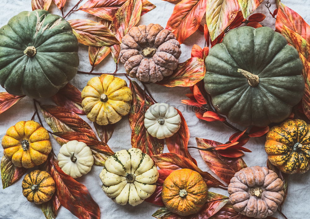 Autumn still life with pumpkins and autumn leaves