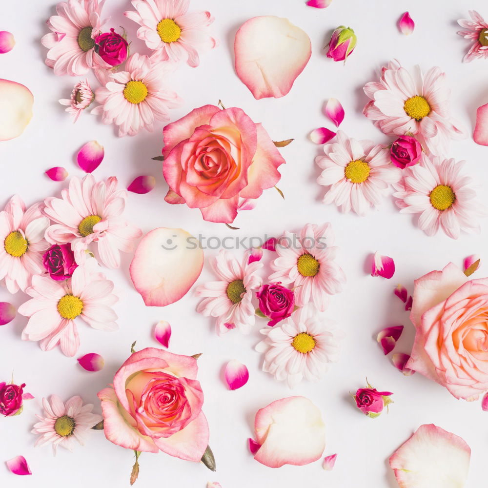 Similar – Image, Stock Photo Roses in grey bowl with water and cream