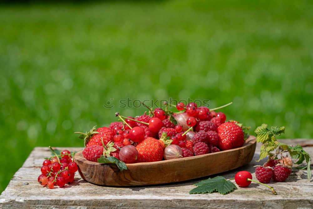 Similar – Image, Stock Photo yield Food Fruit Nutrition