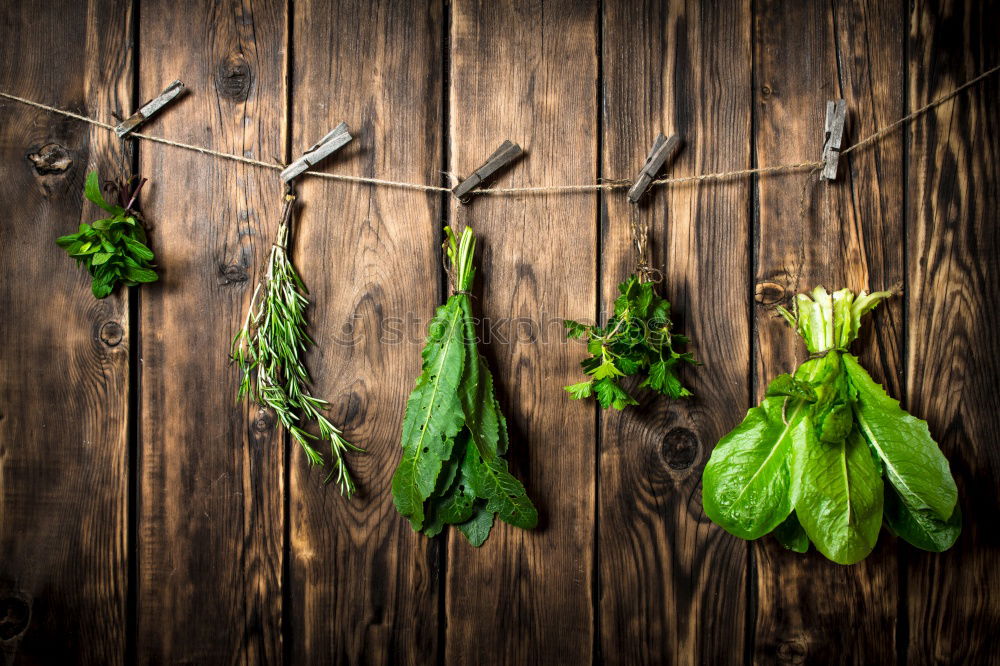 Similar – Image, Stock Photo Mix of fruits and vegetables in green color