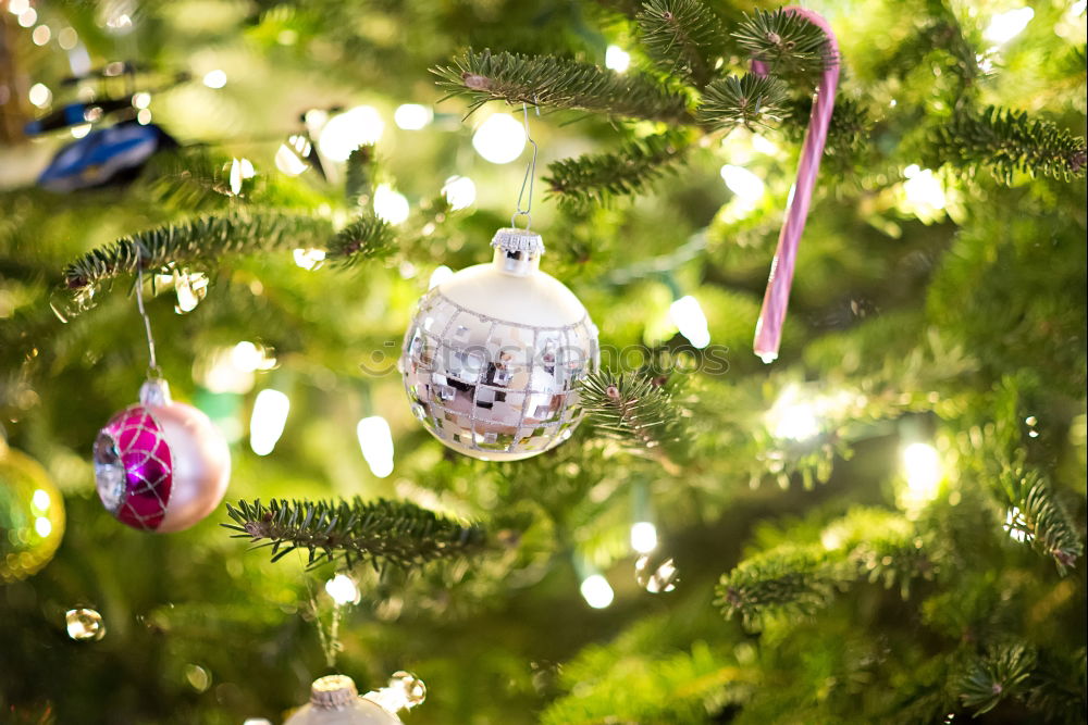 Similar – Natürlicher Weihnachtsbaum mit leuchtenden Lampen im Advent