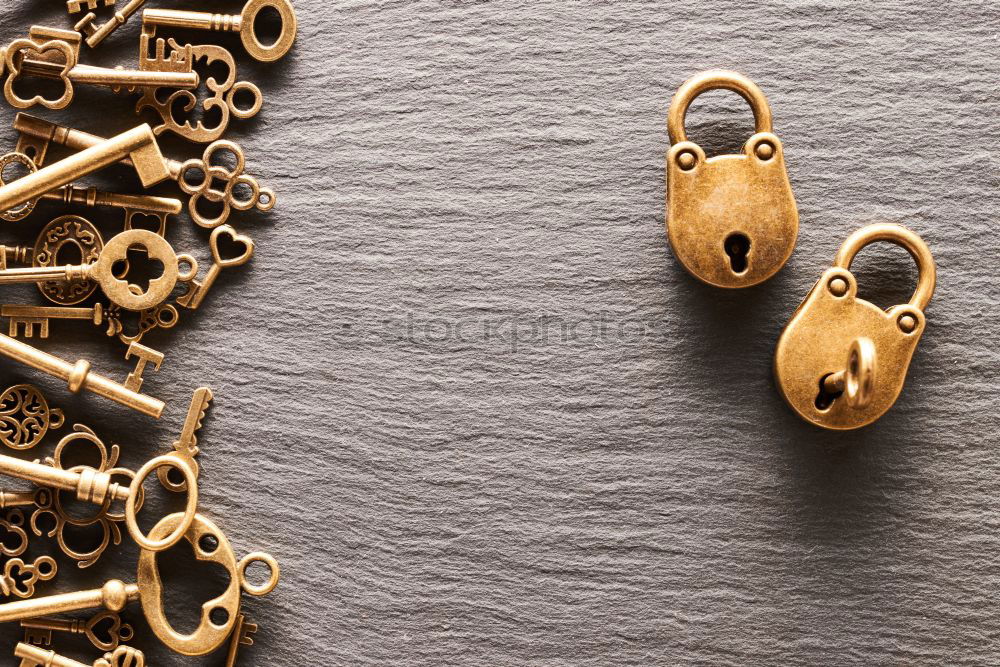 Similar – Image, Stock Photo shoot to thrill Camera