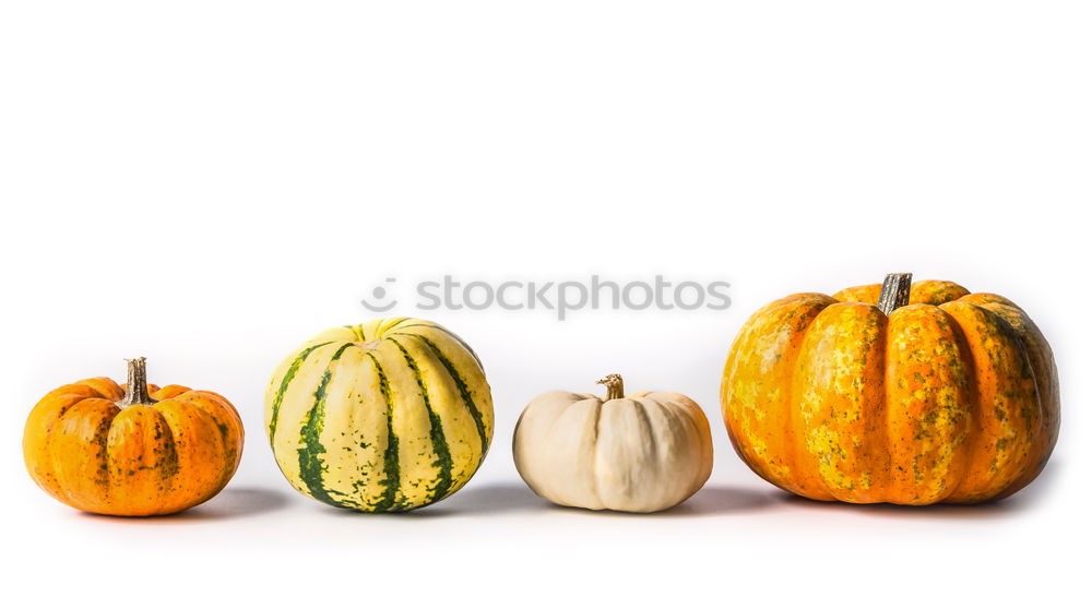 Similar – Image, Stock Photo Pumpkin stack on white