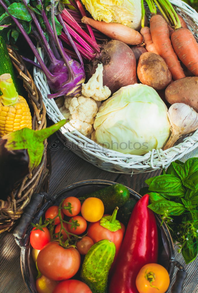 Similar – Leerer Kochtopf und Gemüse Zutaten fürs Kochen