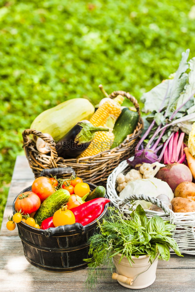 Similar – Preparing ingredients for pickling cucumbers