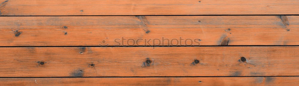 Similar – Image, Stock Photo Beyond the mainstream orangery.