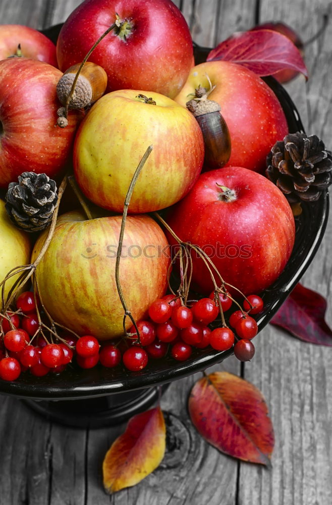 Similar – Autumn decoration with pumpkin, rose hip and coloured foliage