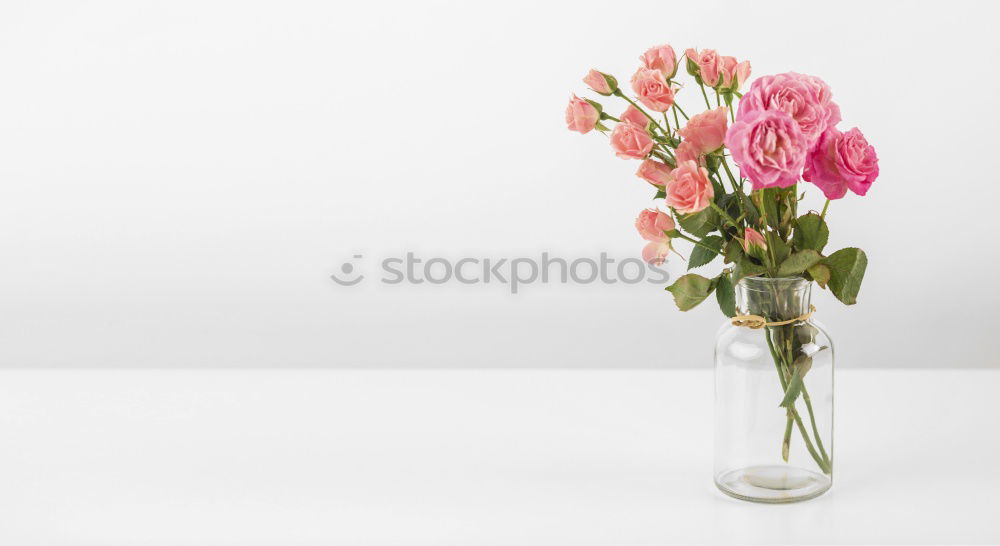 Similar – Vase with tulips on white table